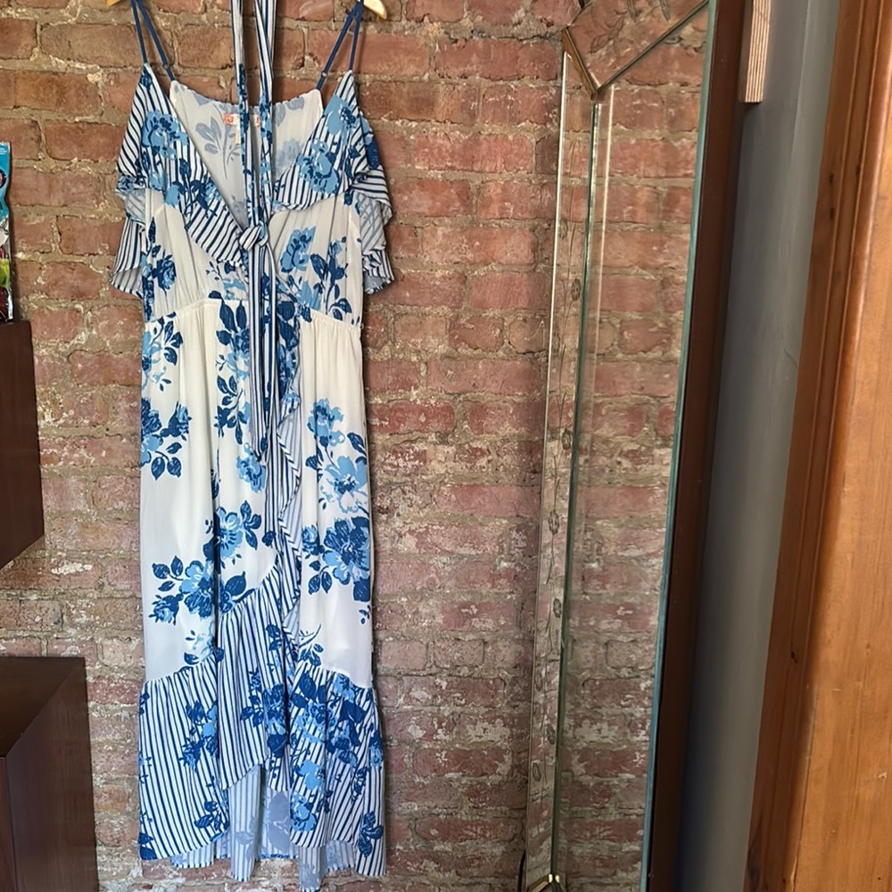 Blue and White Floral Striped Dress